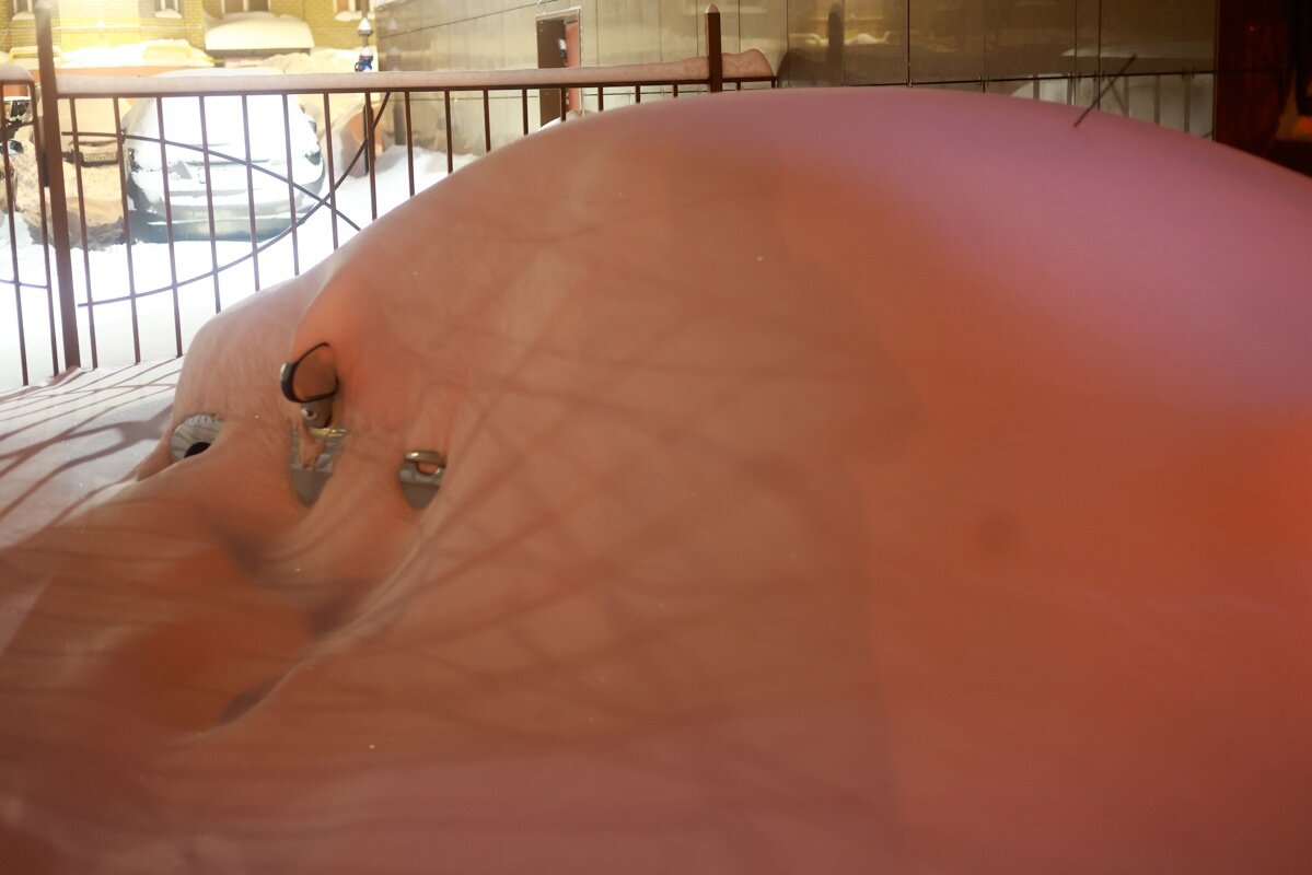 Автор фото: Павел Хацаюк/«Вечерняя Казань»