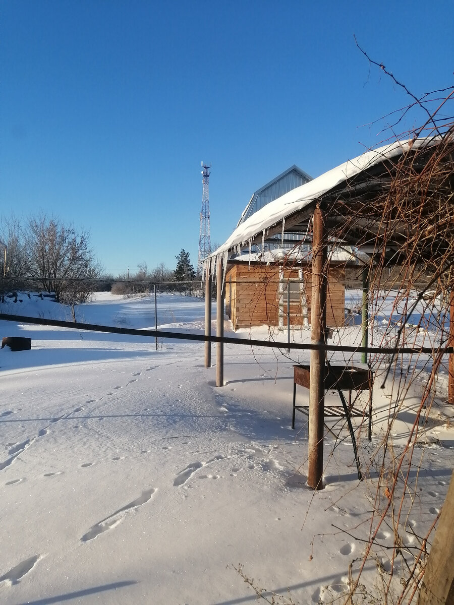 Наш участок