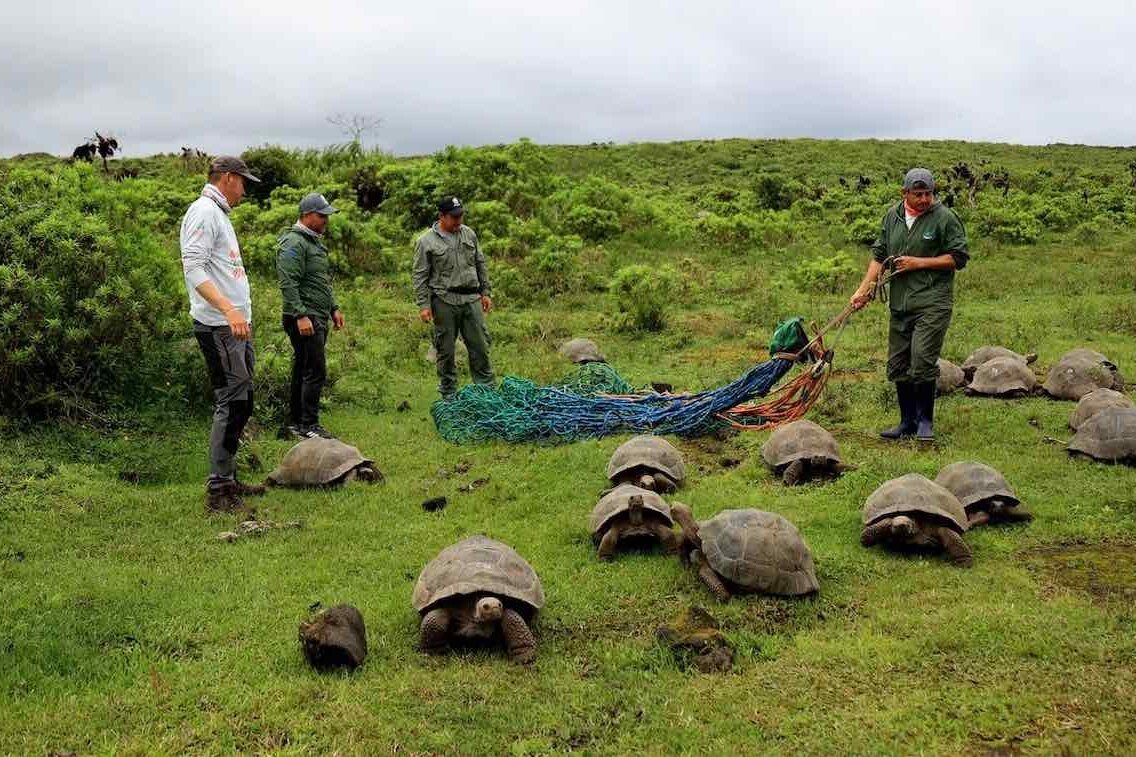 лабораторная диагностика юра. автоматизация бизнеса. управление проектами. огромное количество исследований. человек и много документов.