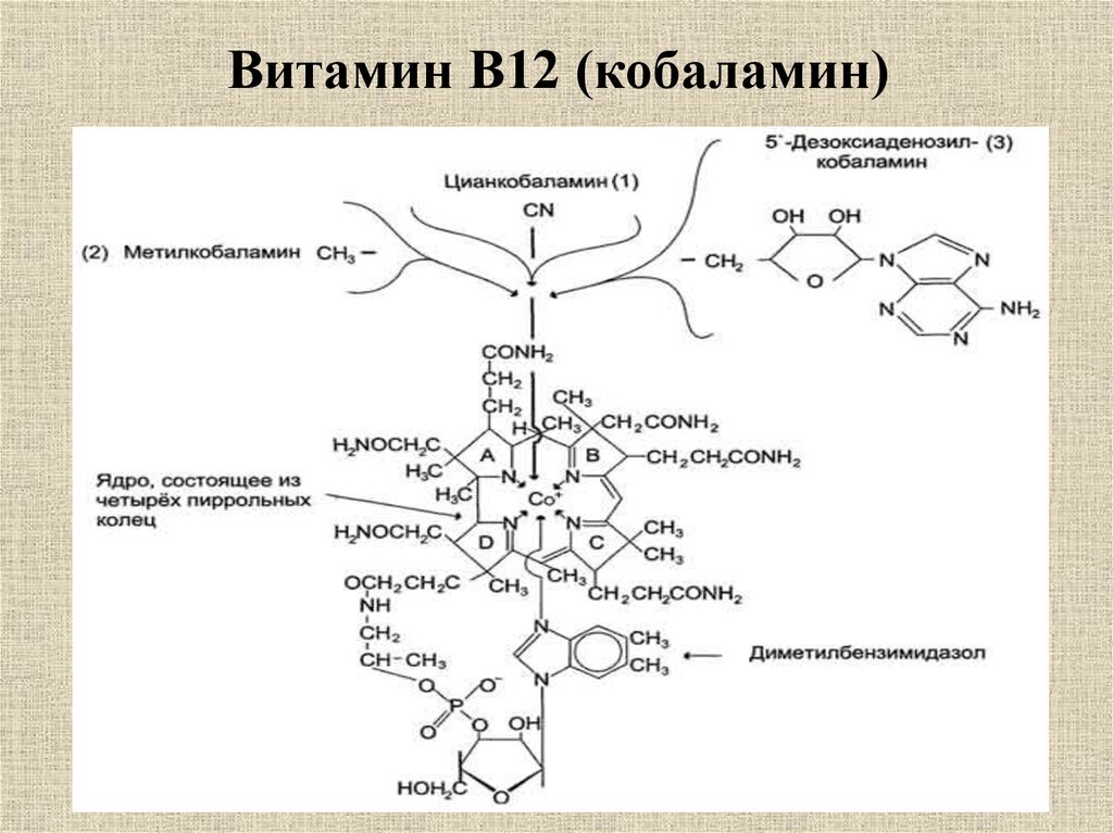 Еще вариант детального изображения строения витамина В12 с вариациями. Изображение взято из интернета
