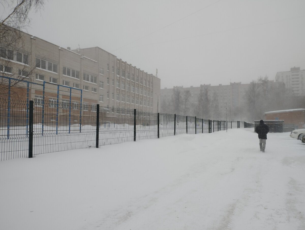 Первый день метели. Ходить и ездить ещё можно, но уже затруднения имеются. 