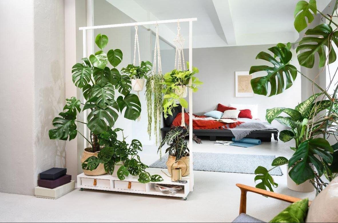 интерьерное озеленение. растения в квартире. озеленение интерьера квартиры. комнатные растения в интерьере. Green sun фитостены.