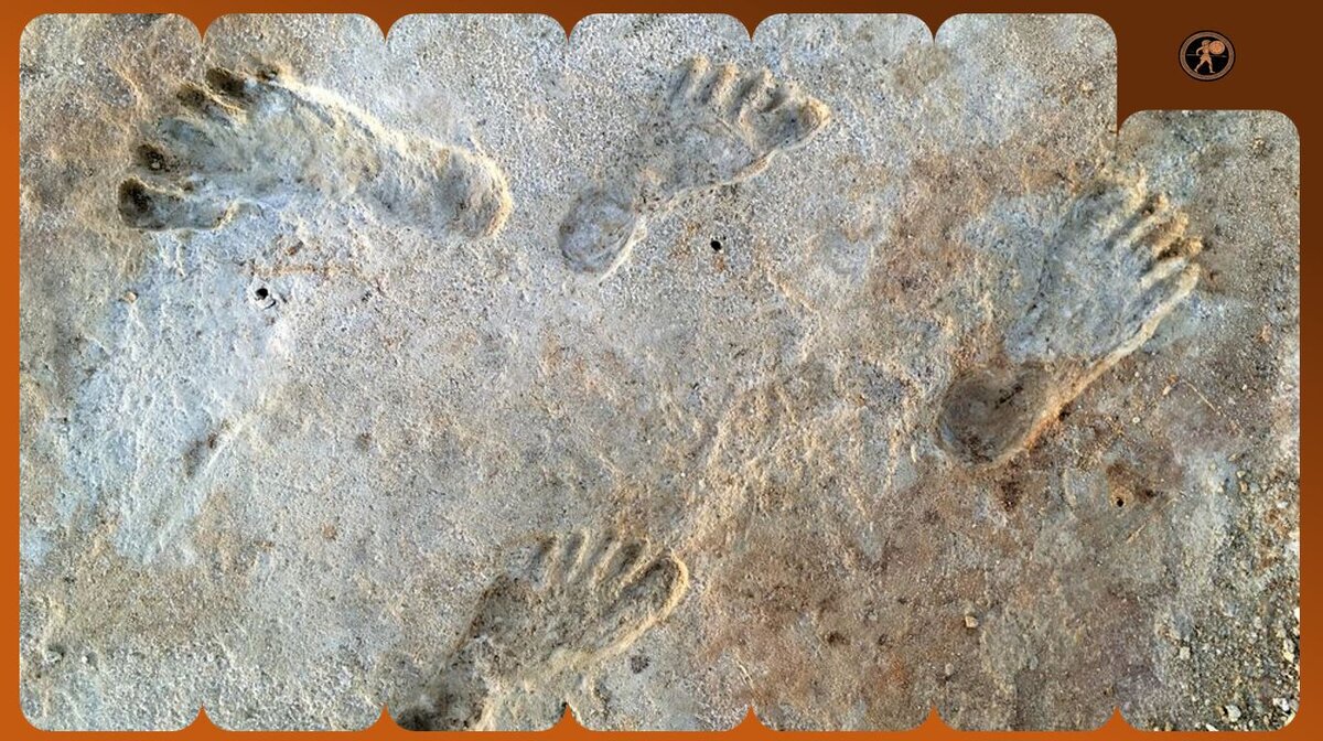 Собственно те самые следы в парке Уайт-Сэндс в Нью-Мексико