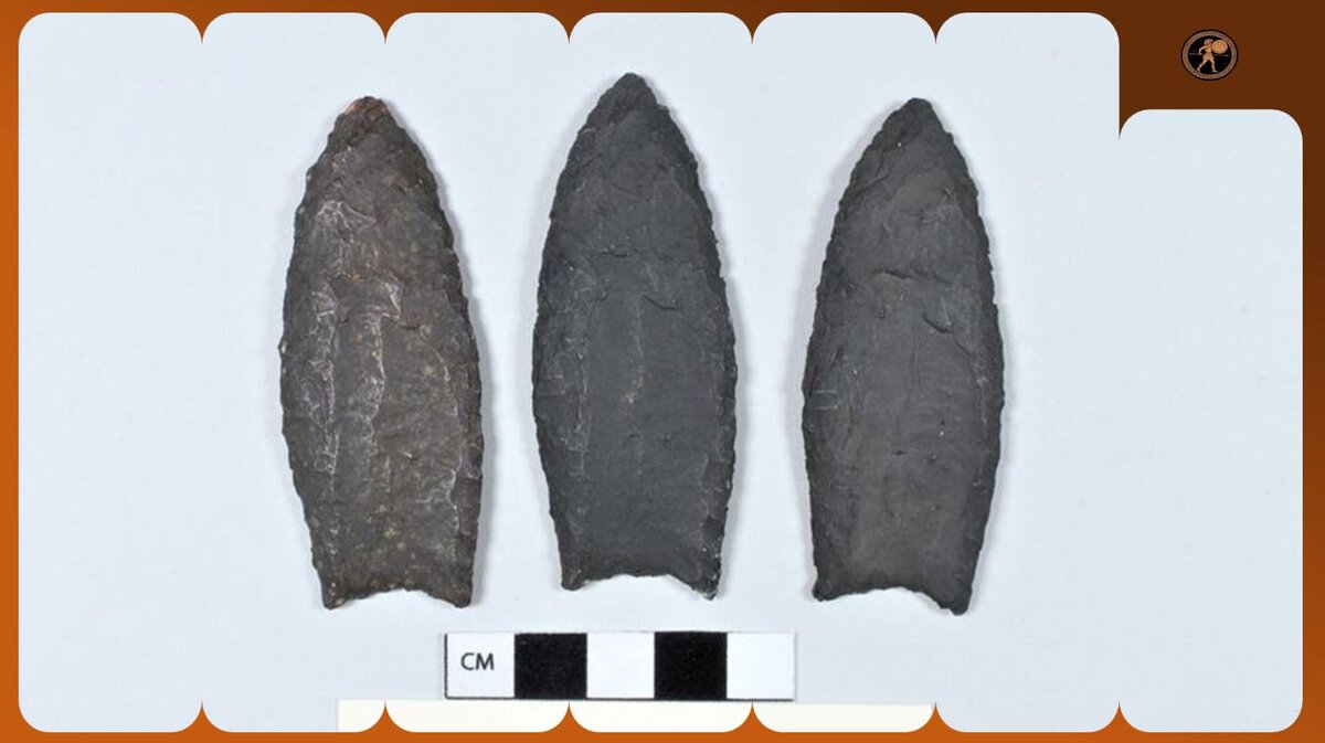 Слепки наконечников копий найденных в окаменелостях в Коннектикуте