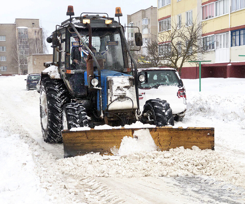 Фото автора и из телеграм-канала