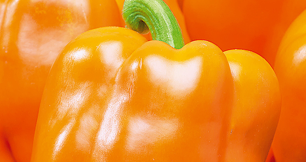 Ах, какие перцы! Шикарные новинки от Агрофирмы Аэлита для ваших теплиц и грядок