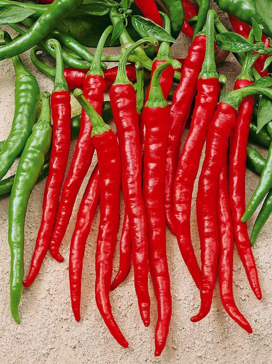 Плантации мака в россии. Название разных ягод. Тэг weed. Земляника садовая богота. Где и какой сорт.