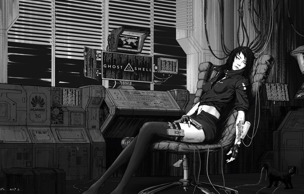 Ghost in the shell: arise мультсериал. Призрак в доспехах аниме 1989. Ghost in the shell 1995. Майор мотоко кусанаги. Призрак в доспехах аниме.