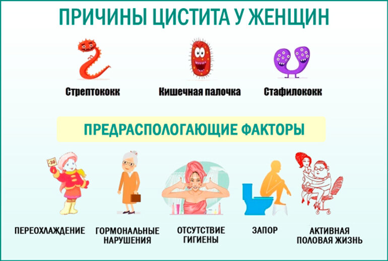 диф диагноз цистита и уретрита. воспаление мочевого пузыря. выделения при цистите у женщин какие бывают. выделения классификация. нормальные выделения при беременности.