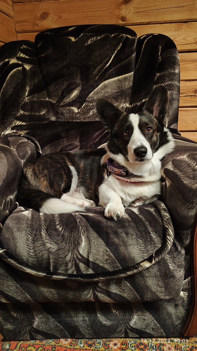 Рис. 1. Вот так я хотел.