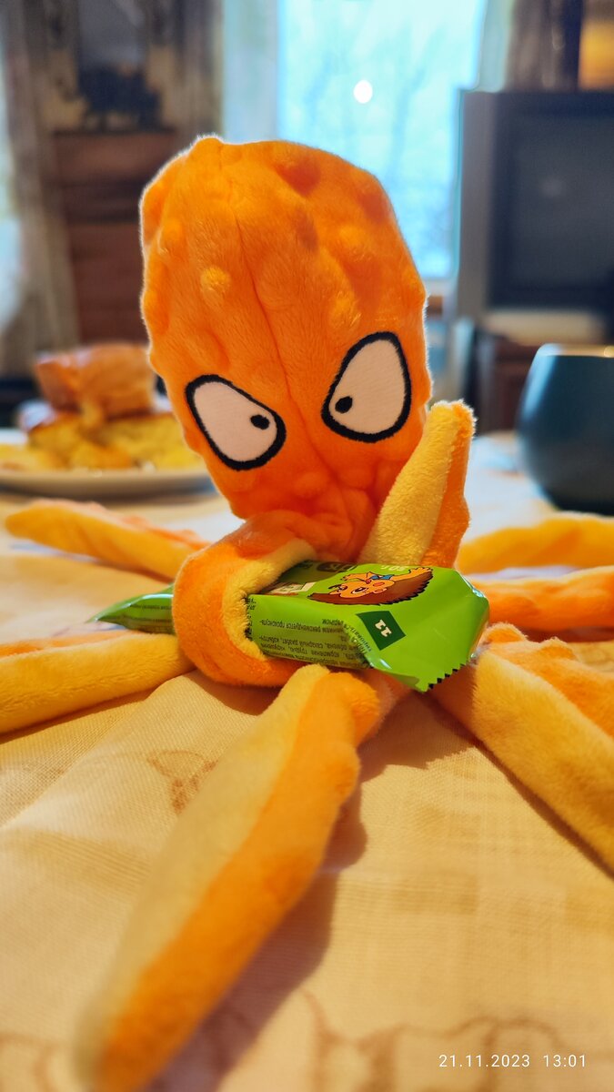 Рис. 2. Ферапонт на фотосессии