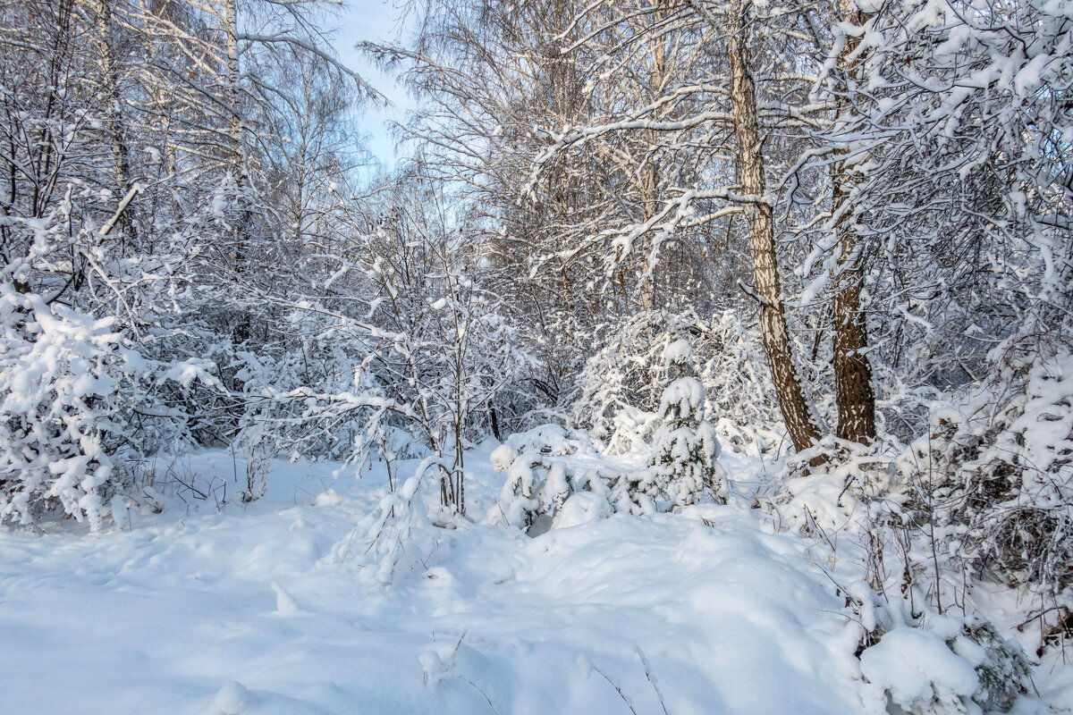 описание красоты зимы