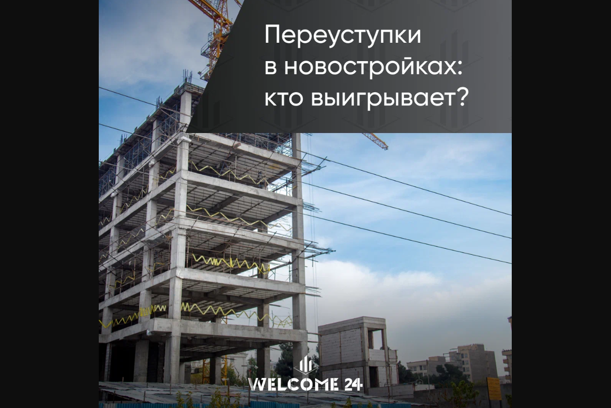 Переуступки в новостройках: кто выигрывает? | Новостройки Недвижимость  Дмитрий Башмаков | Дзен