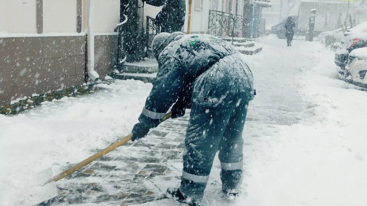 Какая зарплата у дворников в Нижнем Новгороде | newsnn.ru | Дзен