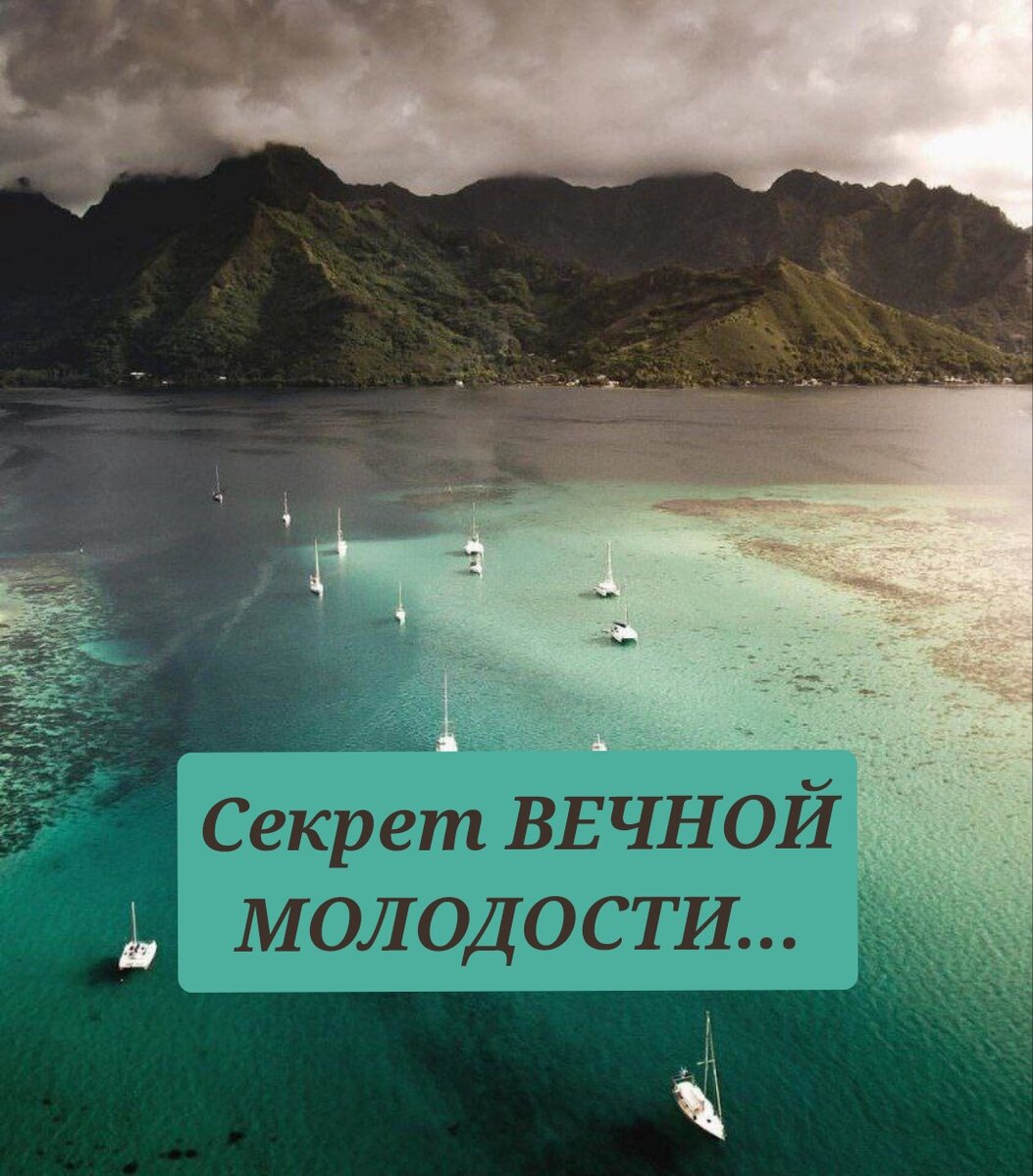 с корпус вечно молодым. военкор рисунок. с корпус вечно молодым. вечно молодой надпись. не расстанусь с комсомолом буду вечно молодым.