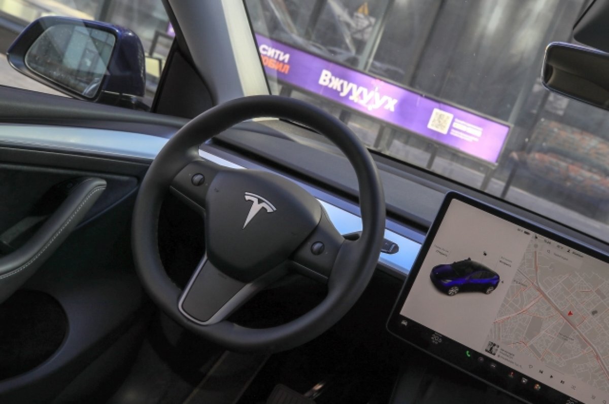    У актрисы Екатерины Маликовой украли зарядный кабель от Tesla