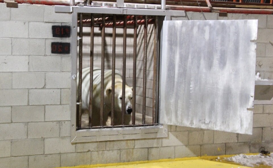 перестал ходить на улицу. перестал ходить на улицу. перестал ходить на улицу. перестал ходить на улицу. зимой в тапочках на улице.