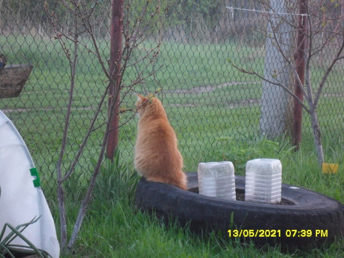 Для посиделок ищет место потеплее