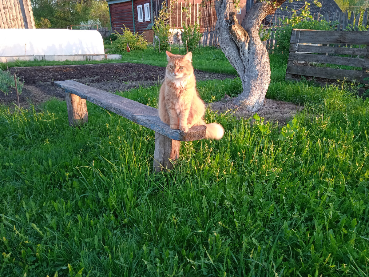 В огороде со мной. Я фотографирую.