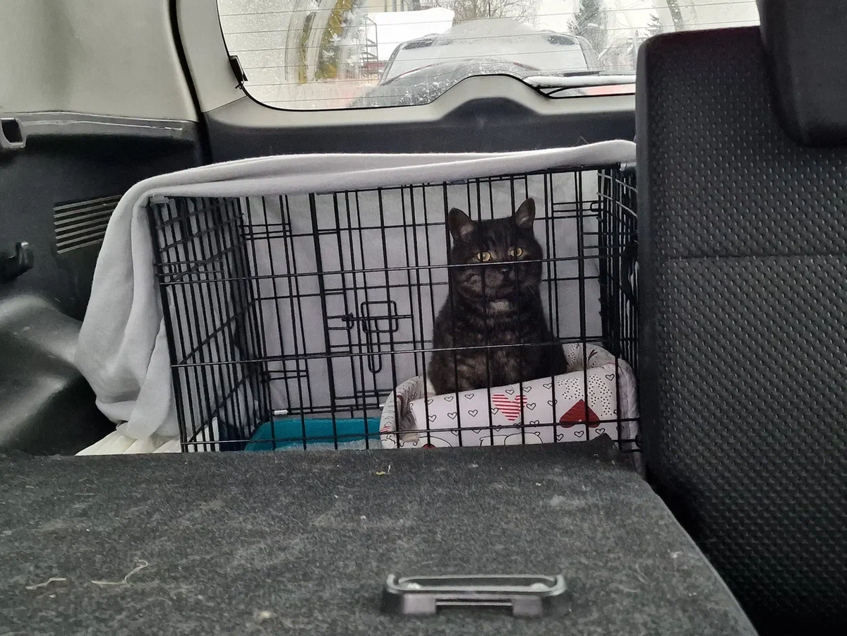 живу на улице 2 года. дети играющие на детской площадке. первые шаги. улица города для детей. мальчик ходит по лужам.