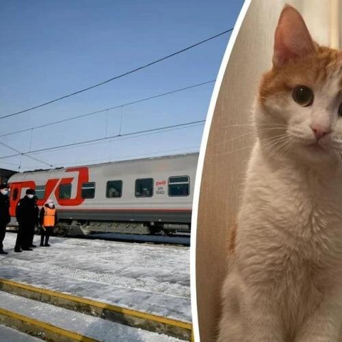 Фото с сайта Яндекс 