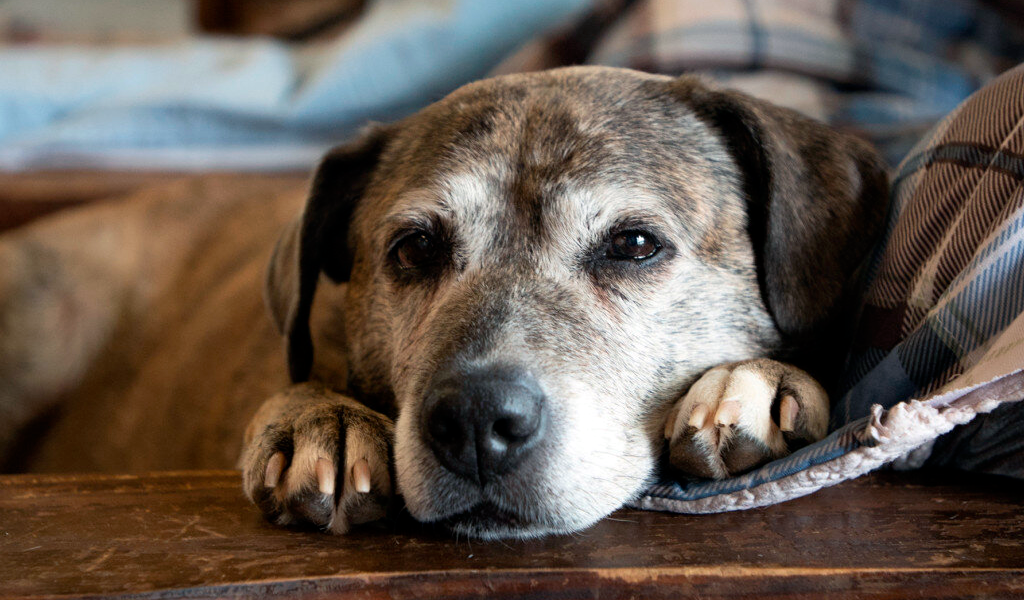 Потеря человека. Чувствую рядом умершего. Загробная жизнь. Чувствую рядом умершего. Горе утрата.