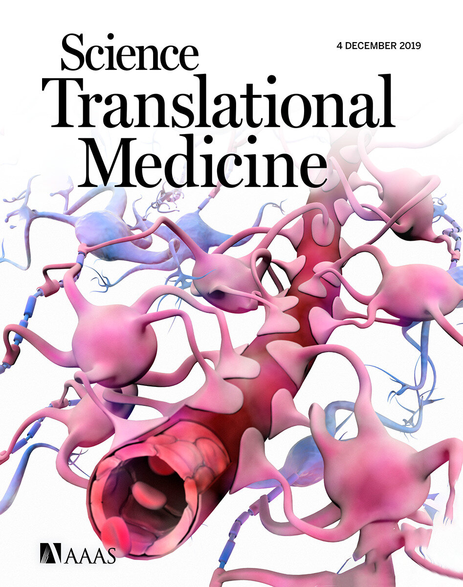 регенерация костной ткани. к регенерации способны. способность к регенерации у человека. ускорение регенерации тканей.