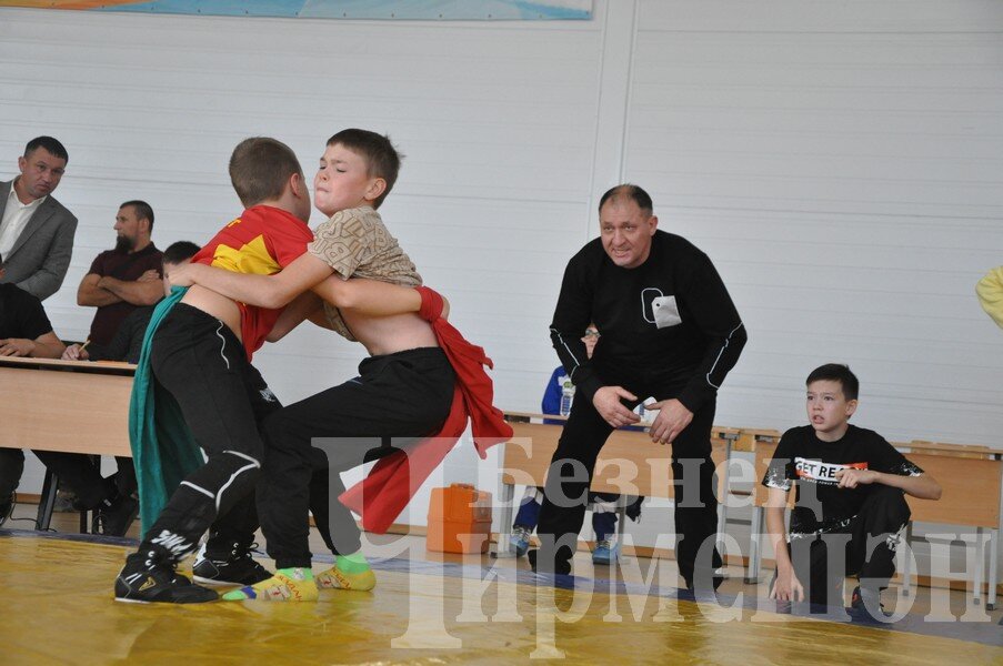 Год спорта и здорового образа жизни