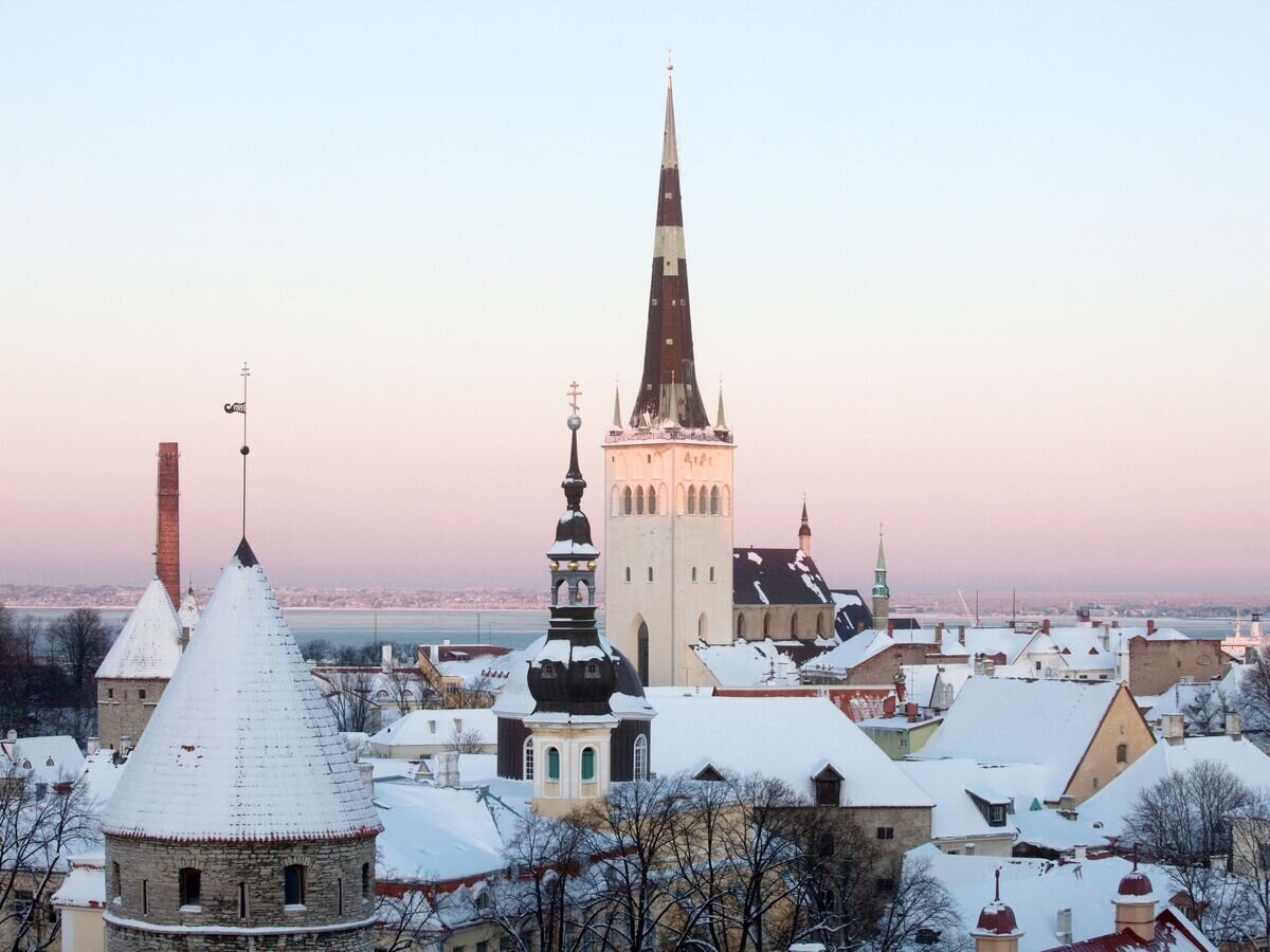    Вид на исторический центр Таллина© РИА Новости / Илья Питалев