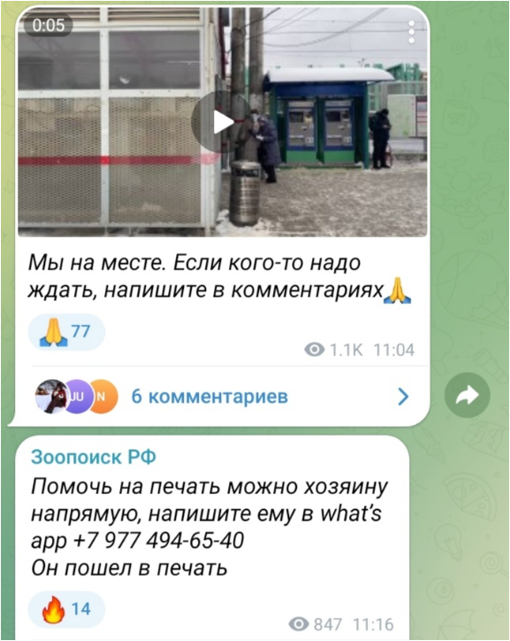 сведения о доверенном лице. сведения о доверенном лице. доверенность от организации на физическое лицо образец. доверенность на передачу документов от юридического лица образец. бланк доверенности с правом подписи документов.