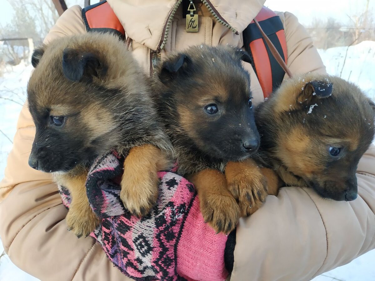 Тут 2 девочки и один мальчик