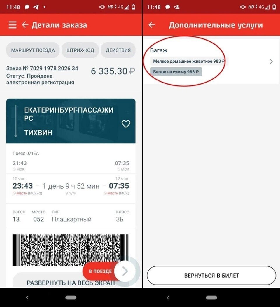 Сбоку обведен оплаченный билет Твикса. Скрин сделан неизвестным автором, найдет на форумах. 