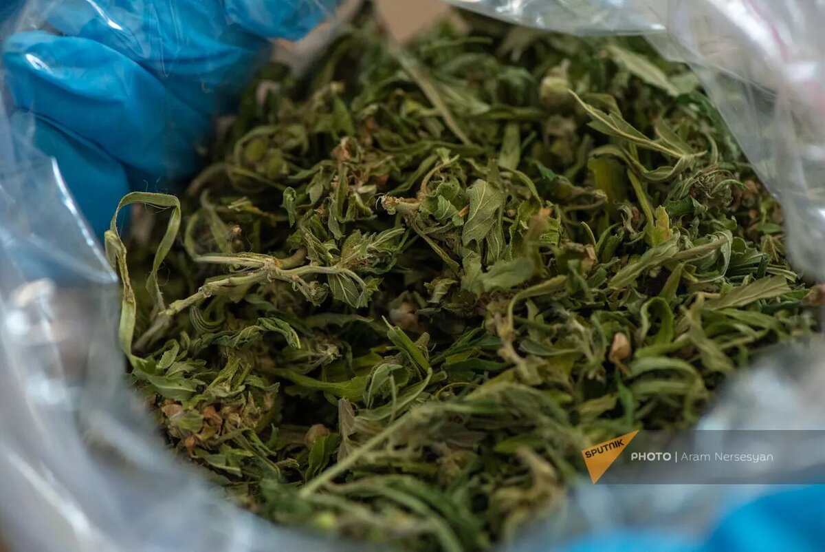 © Sputnik / Aram Nersesyan