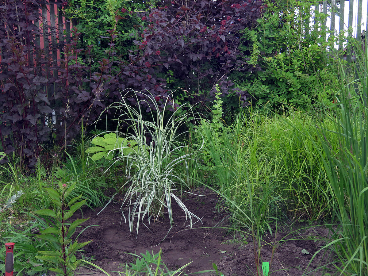 Хочется на дачу. Очень хочу дачу. Не хочу на дачу картинки. Дачный домик из бруса. Дача и дом в шомиково.