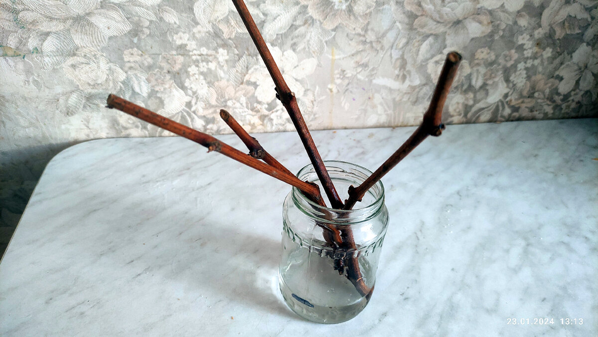 На фото виден уровень воды в банке, а также метка, по которой отслеживается этот уровень