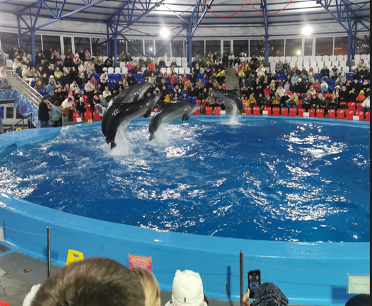 набережная лазаревского видео 2020. пешеходная граница псоу. сочи и адлер. пляж ривьера сочи 2022. олимпийский парк сочи.