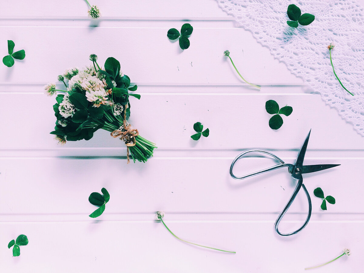 12 лучших маникюрных ножниц