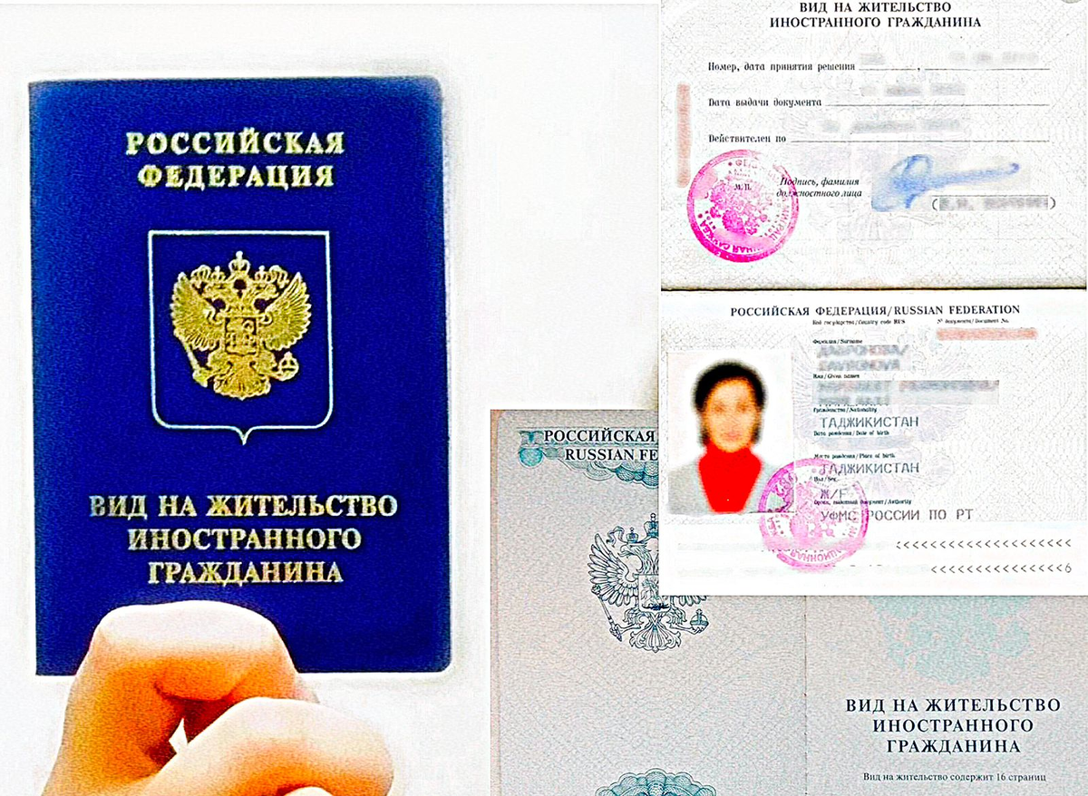 Вид на жительство РФ