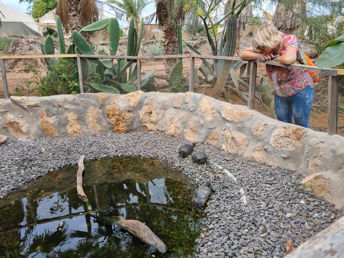 Как проснуться в 5 часов. Просыпаешься в 4 5 часов утра. Просыпаешься в 4 5 часов утра. Как проснуться в 4 часа утра. Типы людей утром.