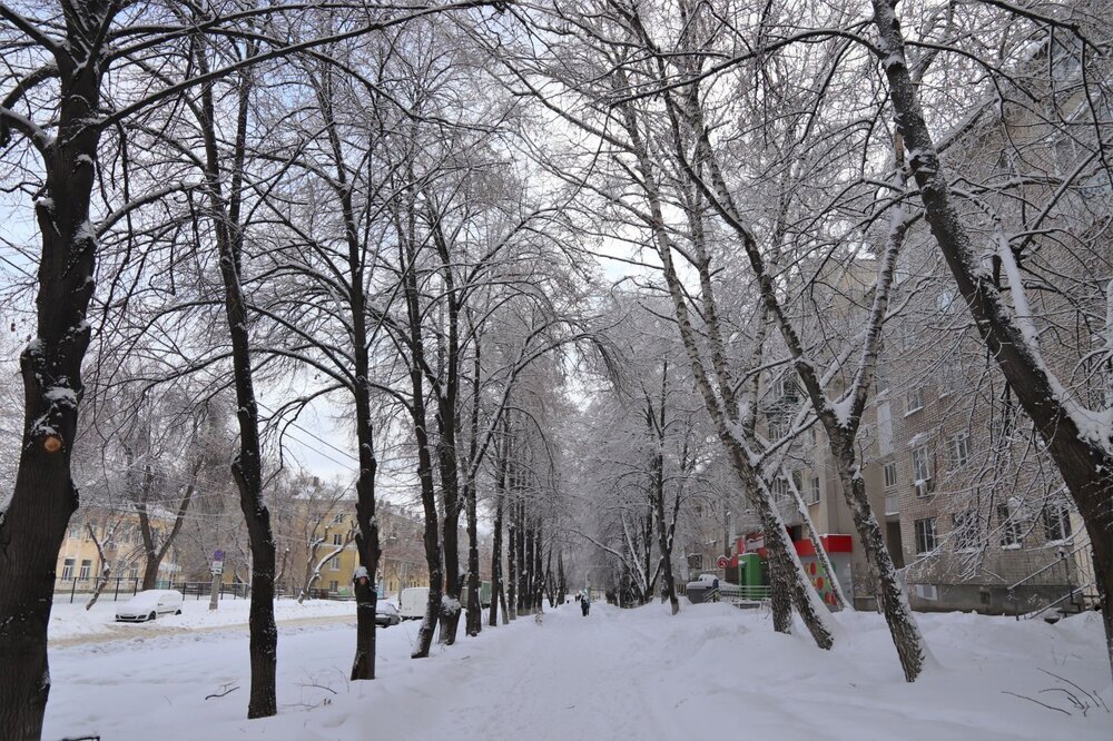 куда продлили зиму. зимние каникулы у школьников в самаре. лагерь зимой сэлэт. каникулы в германии. зимняя смена в лагере.