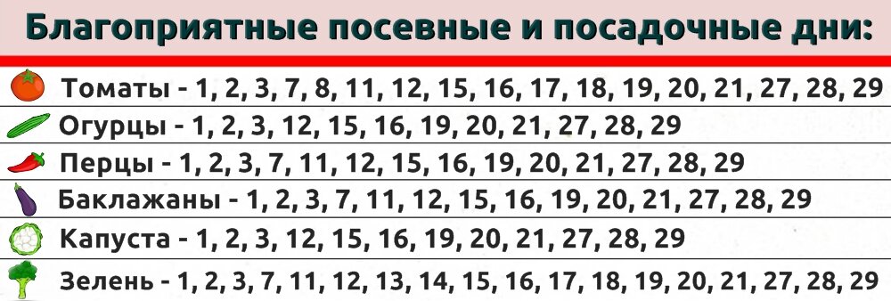 Лунный календарь на 2025 год Бурджи Лхамо , 50 х 70 см - купить с доставкой по в