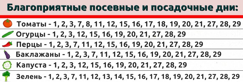 Календарь огородника на год. Посевной календарь | Новости Беларуси|БелТА 3