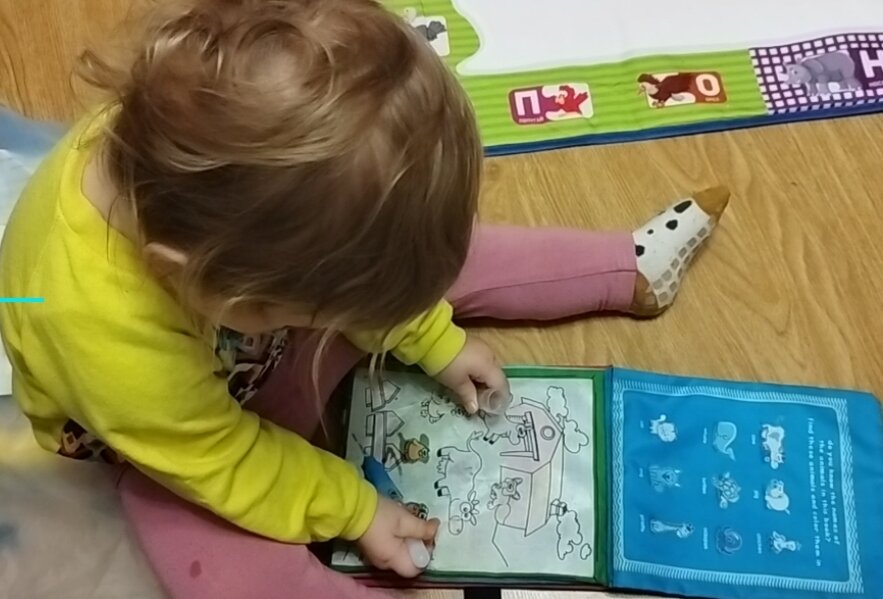 Раскрашиваем животных на ферме