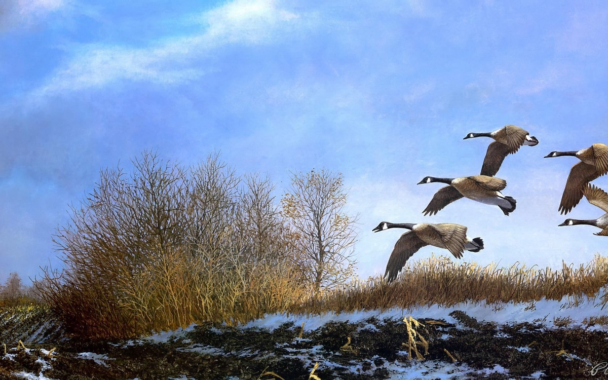 с прощенным воскресеньем поздравления открытки. цитаты о звонках. звоните родителям почаще стихи. дети извините за звонки мы названиваем. дети извините за звонки.