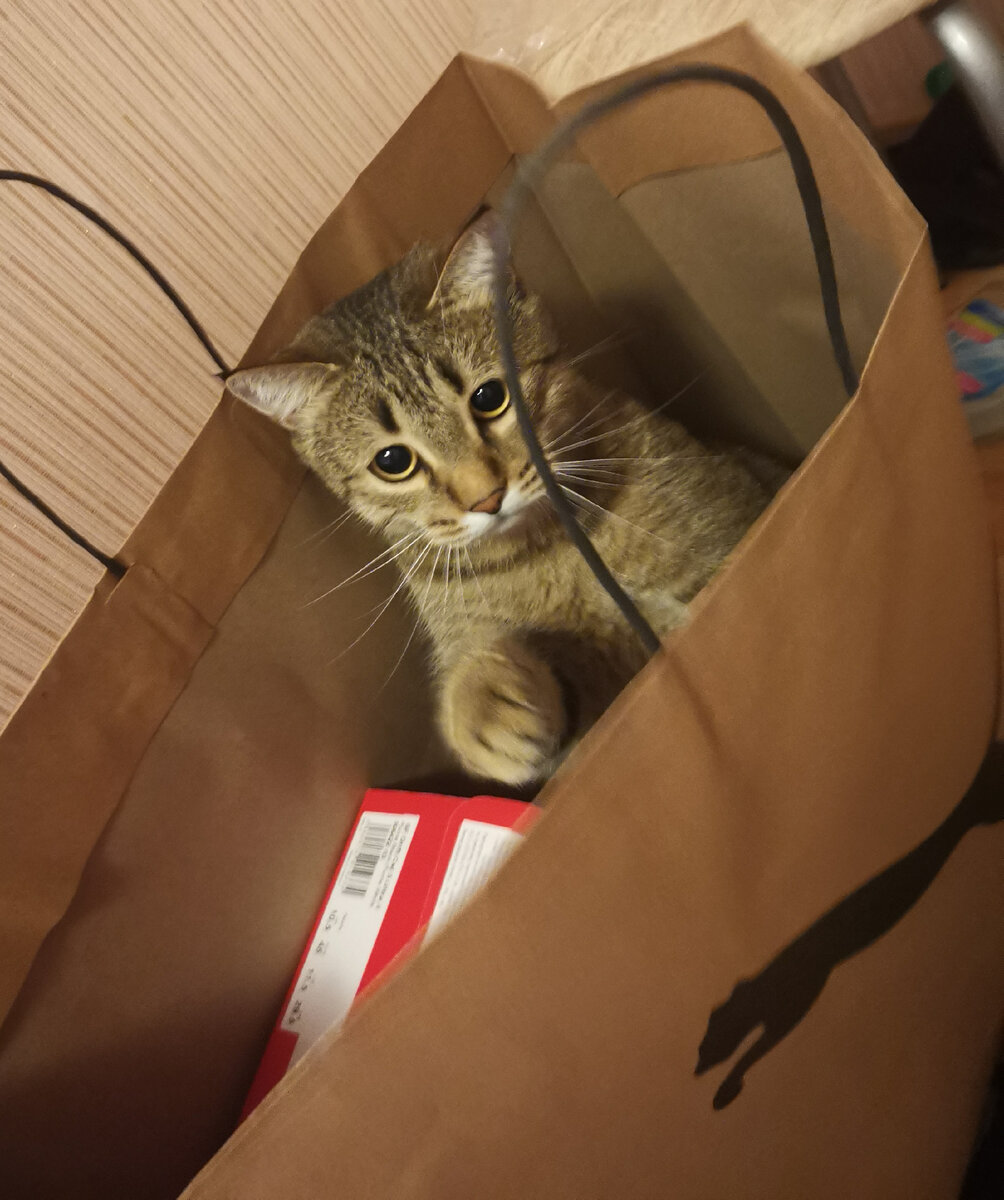 номера людей. номера незнакомых девушек. номера незнакомых девушек. незнакомка на улице. номера незнакомцев.