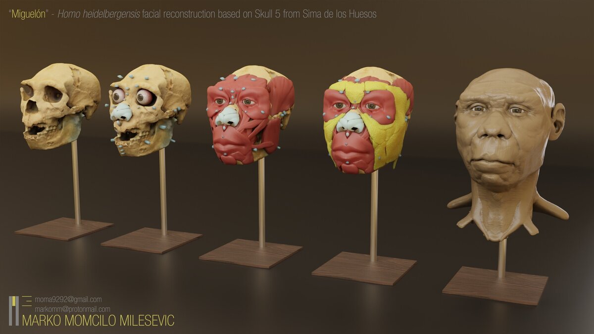 хомо- гейдельбергского человек это. гейдельбергский человек и неандерталец. виды первобытных людей. гейдельбергский человек и неандерталец. гейдельбергский человек и неандерталец.