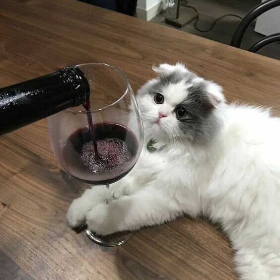 мы не пьем ,и вам не советуем!