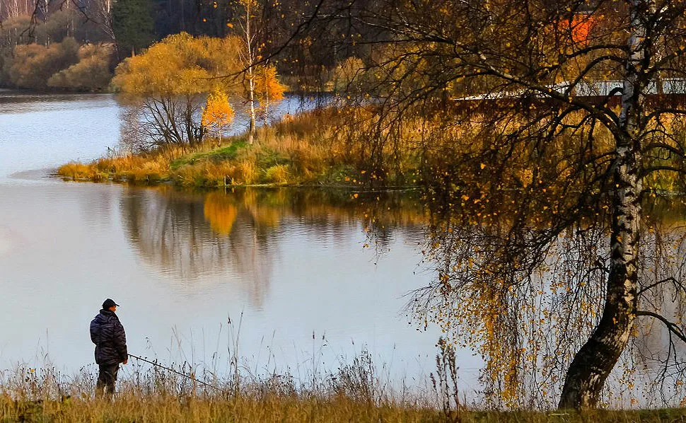 Осеннее утро на реке