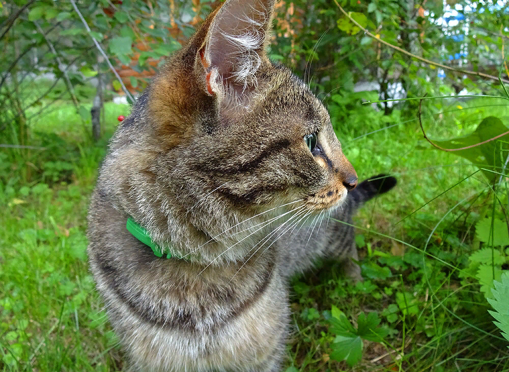 Надеюсь, возражений нет? Вот и славно