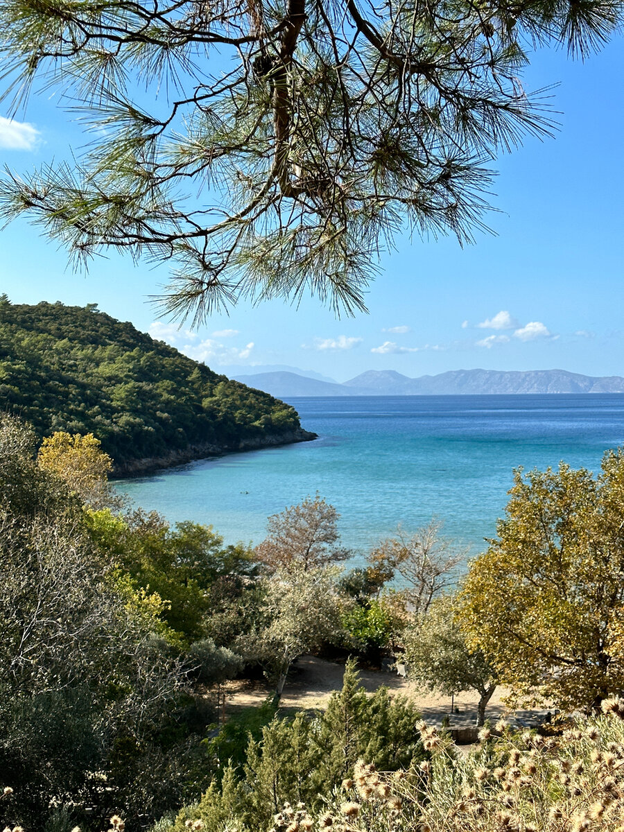 Карта парка на втором фото